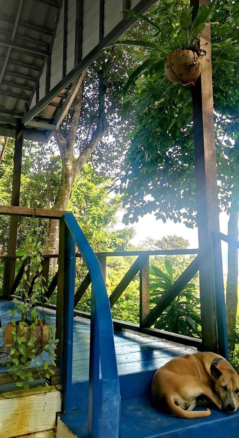 Rasta View Bangalows Koh Chang Exterior photo